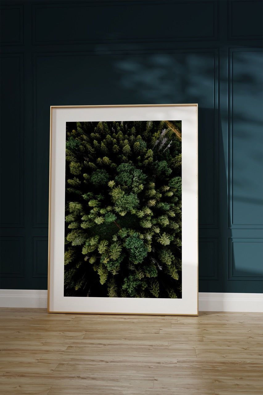 Forest Photo No.35 Frameless Poster