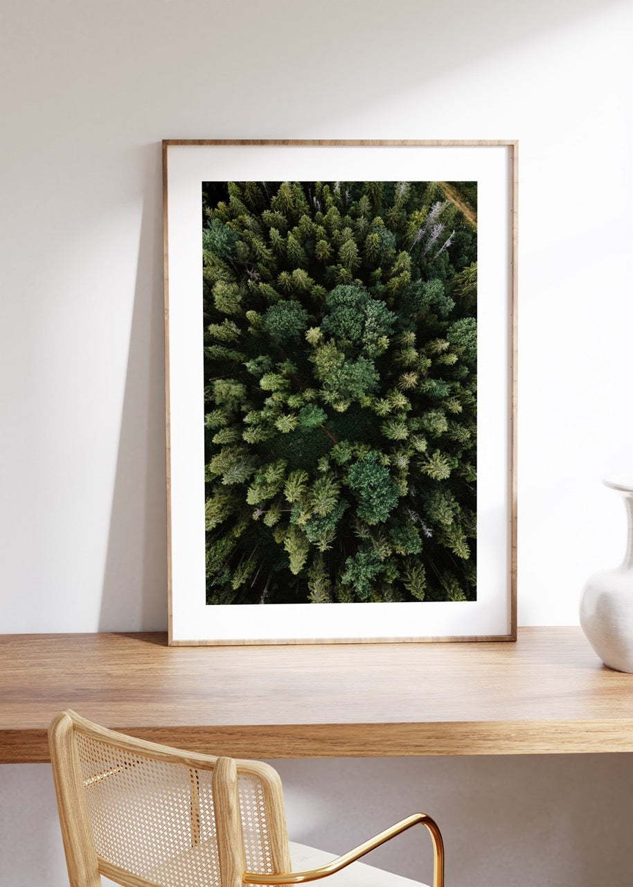 Forest Photo No.35 Frameless Poster