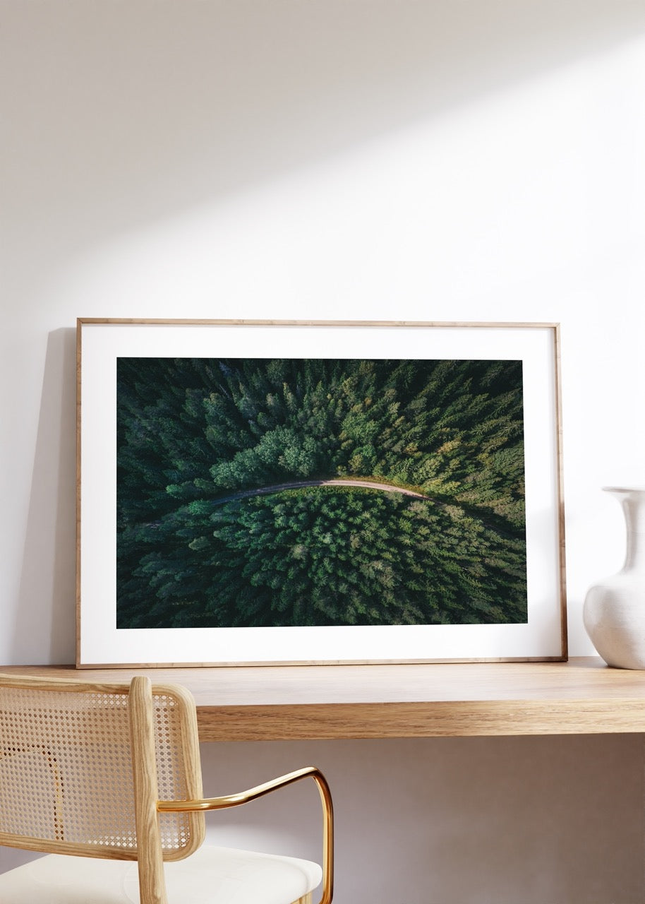 Forest Photo No.41 Frameless Poster