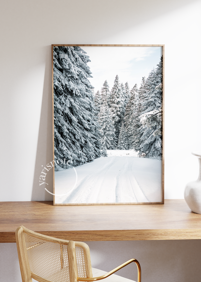 Winter Forest Unframed Poster